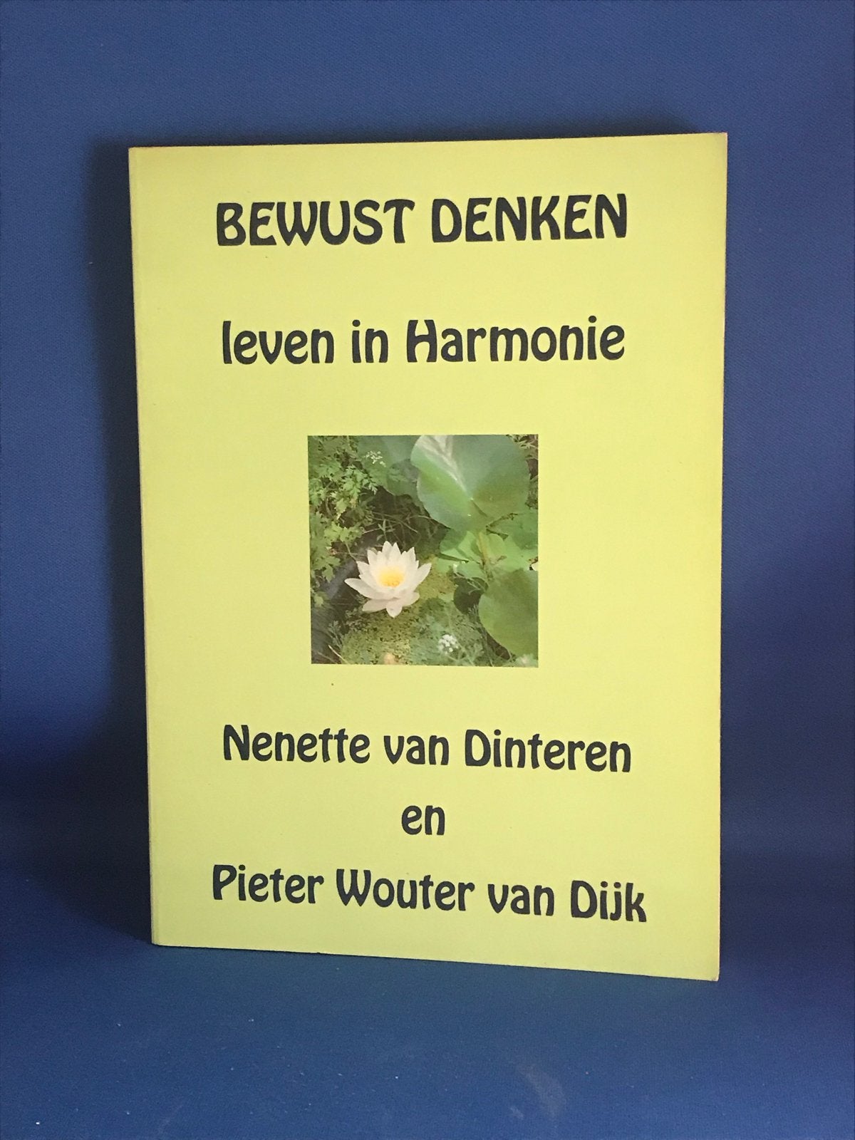 Bewust Denken: Leven in Harmonie - Nenette van Dinteren, Ophalen, Zo goed als nieuw, Spiritualiteit algemeen, Achtergrond en Informatie