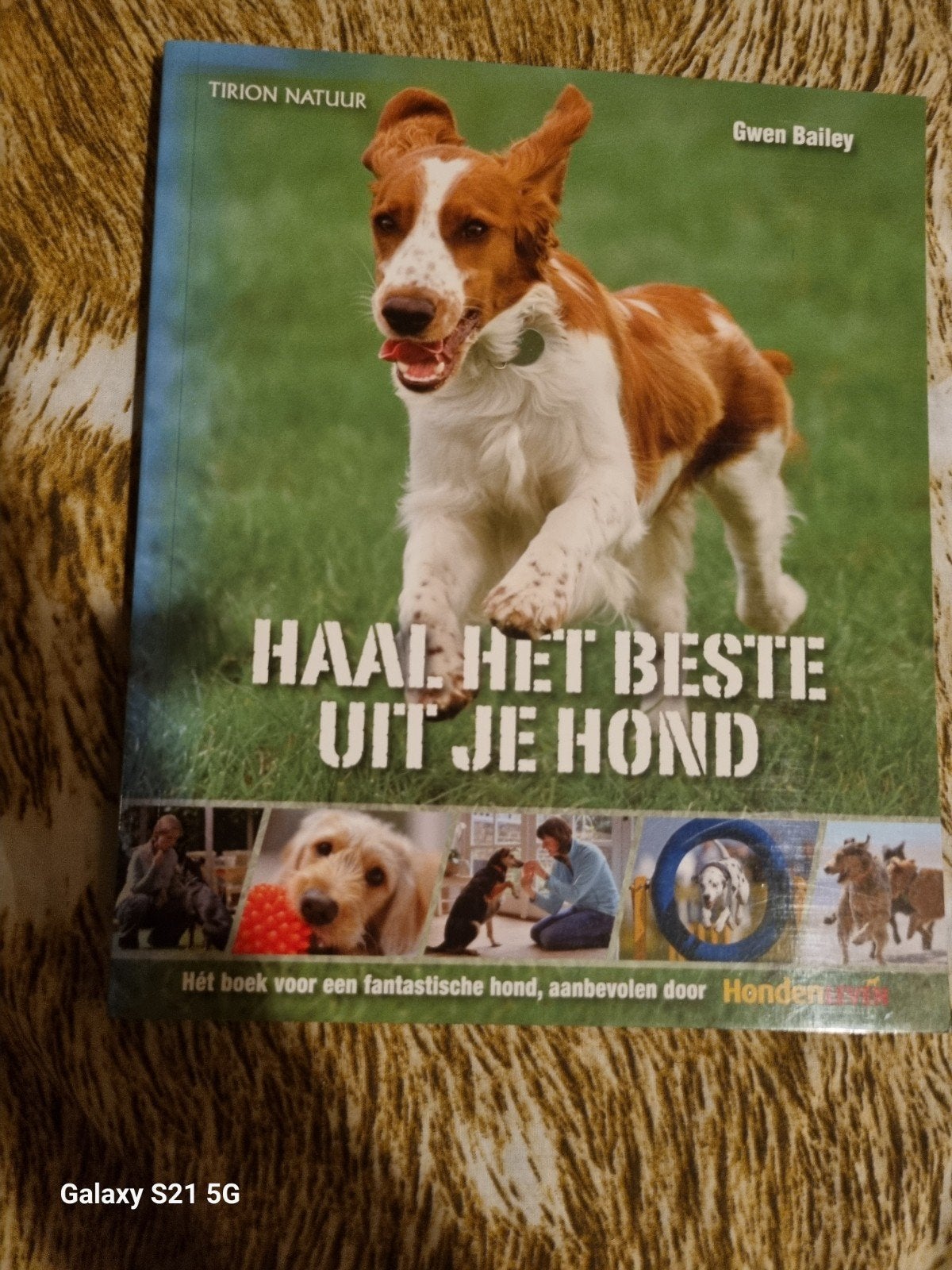 Haal het beste uit je hond - Gwen Bailey - Tirion Natuur, Ophalen of Verzenden, Zo goed als nieuw, Honden, Gwen Bailey