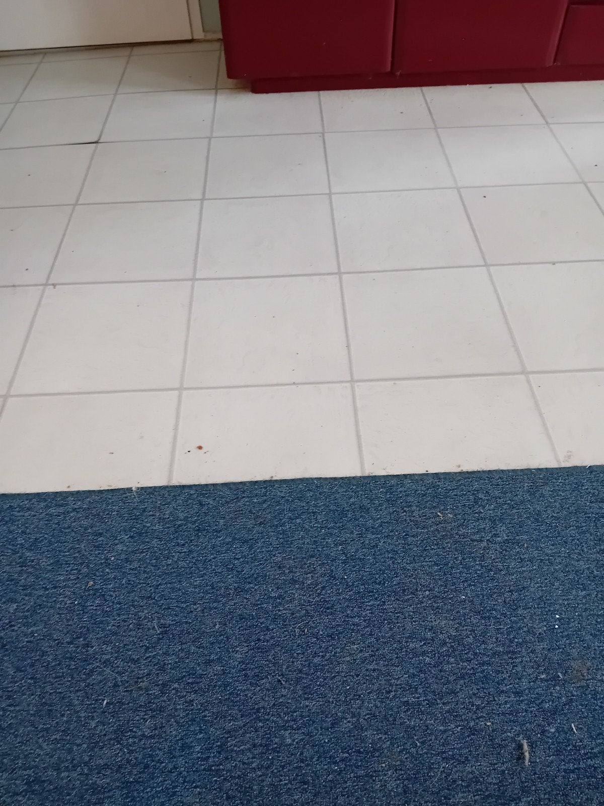 tegel of bloklaminaat gezocht, Huis en Inrichting, Stoffering | Tapijten en Kleden, Gebruikt, Blauw, 200 cm of meer, Ophalen of Verzenden