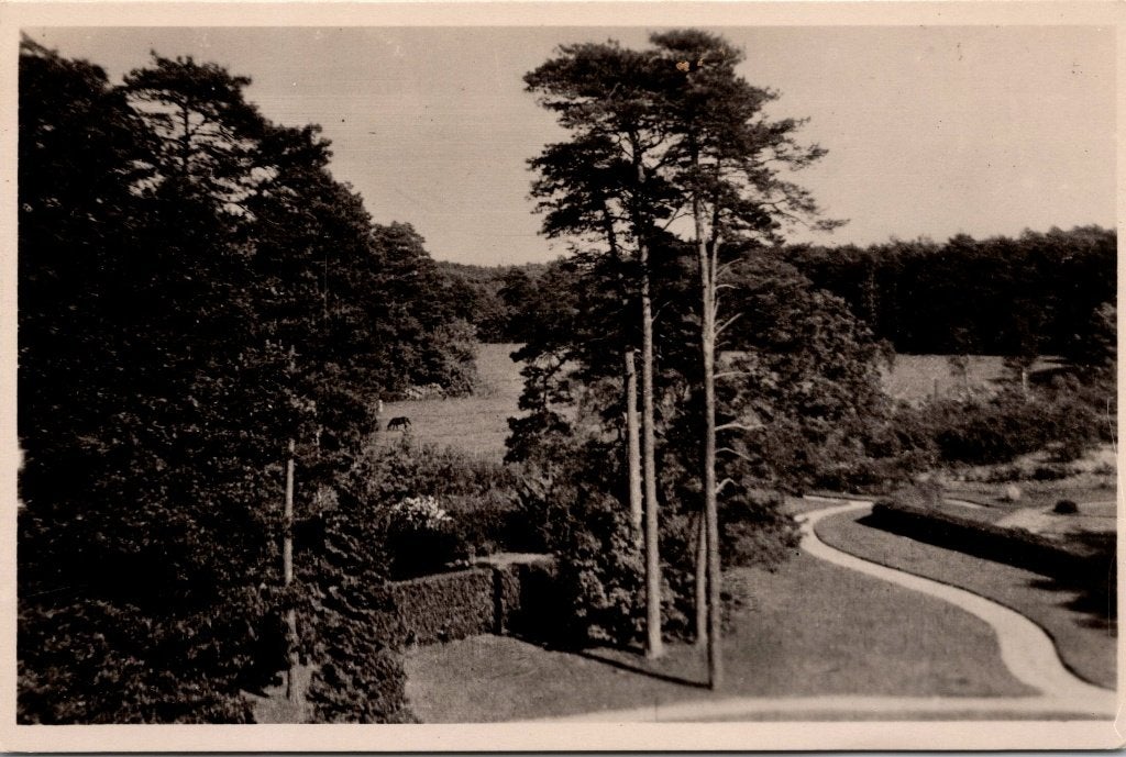 Leuvenum en Leuvenumse Bos - 8 oude ansichtkaarten, Verzenden, 1940 tot 1960, Gelopen, Gelderland