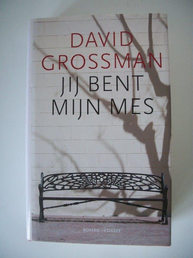 Jij Bent Mijn Mes - David Grossman - Gebonden - zgan, Boeken, Ophalen of Verzenden, Zo goed als nieuw, David Grossman, Amerika