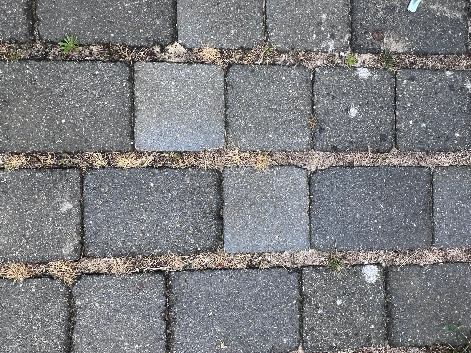 Gratis op te halen; grote partij tuintegels, Tuin en Terras, Ophalen, Zo goed als nieuw, Beton, Terrastegels