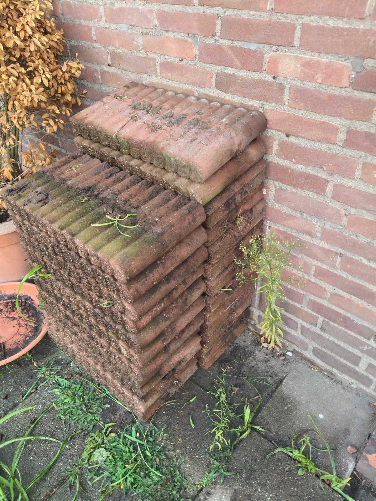 40 Stonewish palissade rondoband rood 6x25x50 cm, Ophalen, Gebruikt, Beton, Overige typen