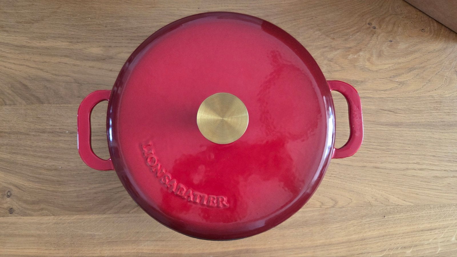 Lion Sabatier emaille pan, Ophalen of Verzenden, Zo goed als nieuw, Gietijzer