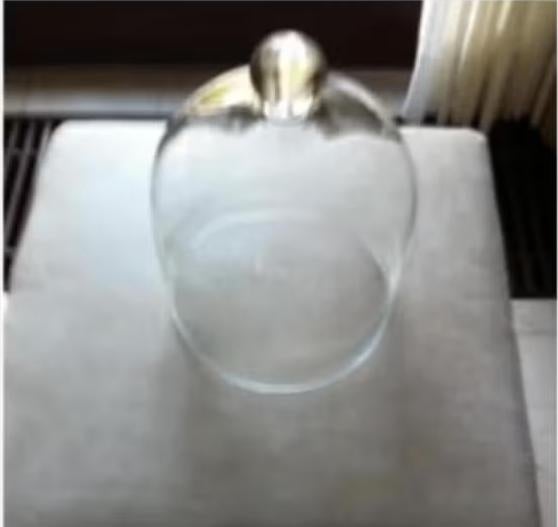 Glazen Stolp diameter 25 cm H 23 cm, Ophalen of Verzenden, Zo goed als nieuw