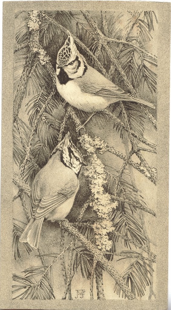 Jan Voerman Jr. litho "Twee Kleine Vogeltjes", Origineel, Ophalen, Dieren en Natuur, Lithografie