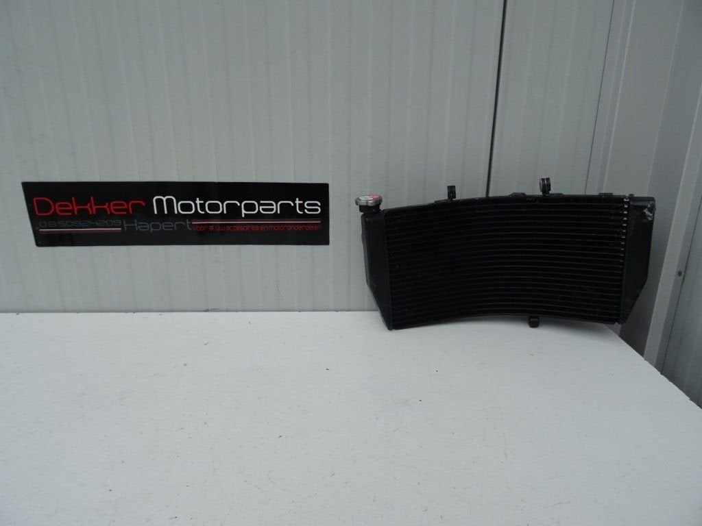 Radiateur / Koeler / Radiator Honda CBR954RR Fireblade 2002, Gebruikt, -, -, Ophalen of Verzenden