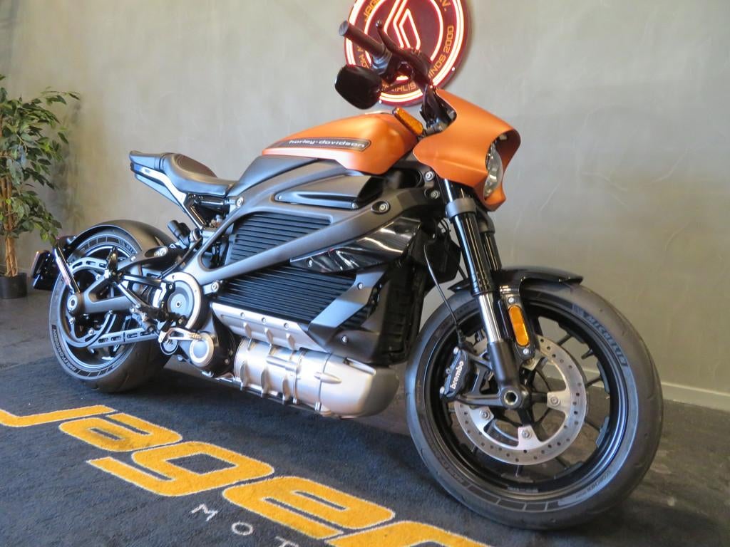 Harley-Davidson LIVEWIRE ELW NIEUWSTAAT! HISTORIE!, Bedrijf, Chopper