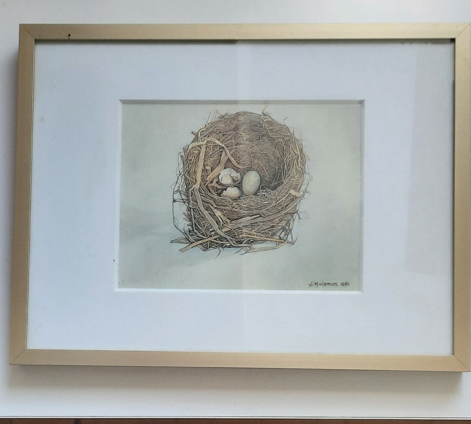 Het merelnest - Jopie Huisman, Ophalen of Verzenden, Flora en Fauna, Gesigneerd, 1950 - 1999
