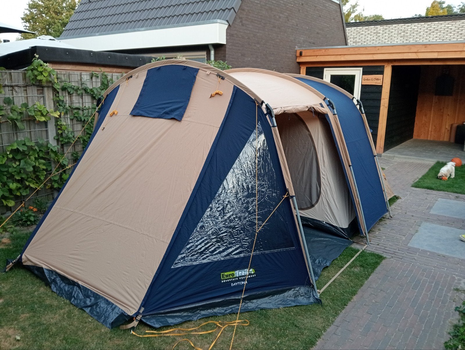 Nieuwe Daytona tunneltent - 4-persoons (Nooit gebruikt), Ophalen, Nieuw, Tot en met 4