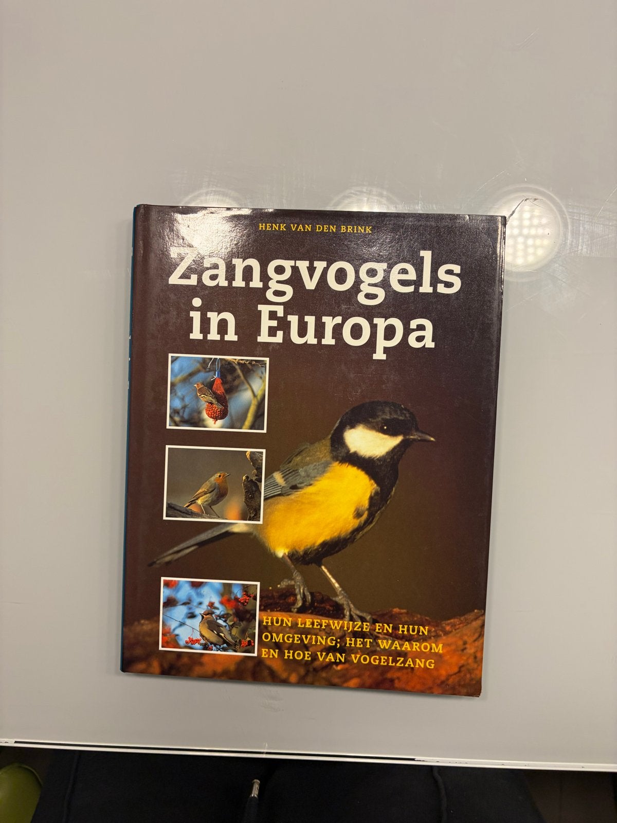 Zangvogels in Europa - Henk van den Brink, Ophalen of Verzenden, Zo goed als nieuw, Vogels