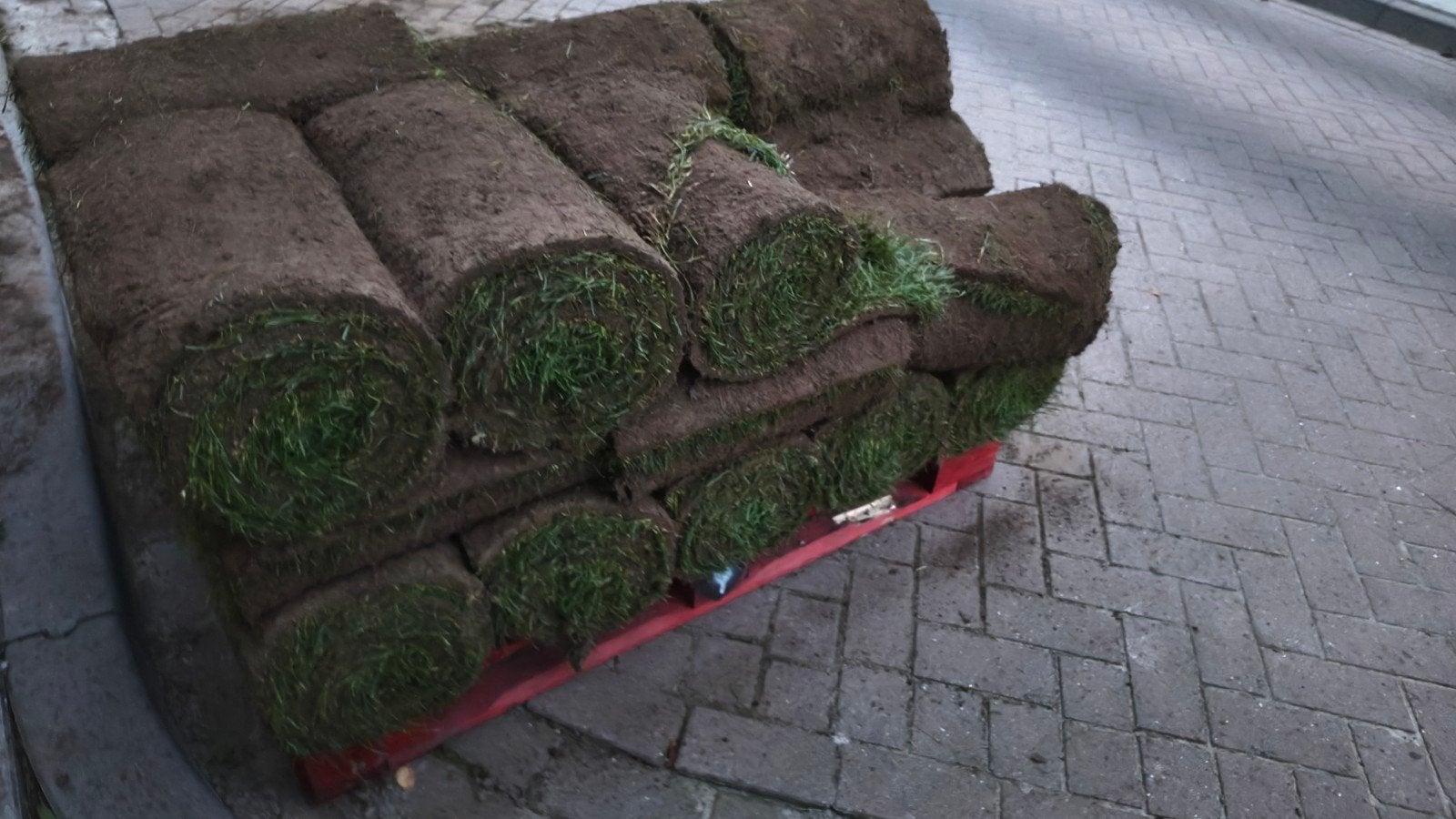 Vers graszoden voor een prachtig gazon +/-30m2, Ophalen, Nieuw, 20 m² of meer, Gras