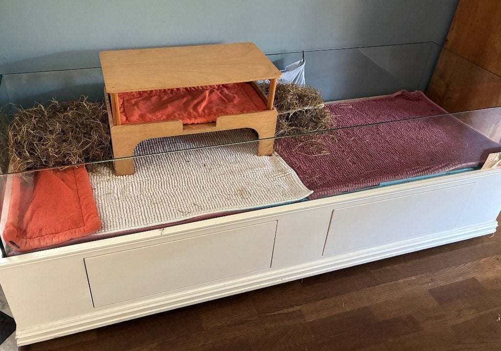Design caviahok door meubelmaker gemaakt.  glas hout, Dieren en Toebehoren, Ophalen, 110 cm of meer, 60 tot 90 cm, Zo goed als nieuw