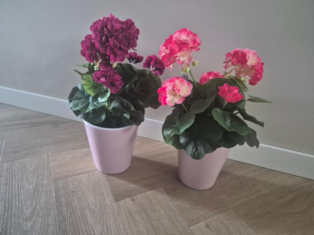 Zijden bloemen met pot., Ophalen of Verzenden, Zo goed als nieuw