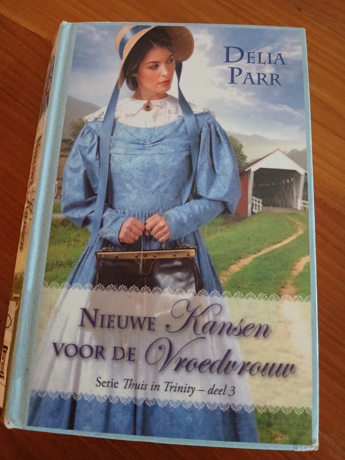 Delia Parr - Nieuwe Kansen voor de Vroedvrouw, Boeken, Ophalen of Verzenden