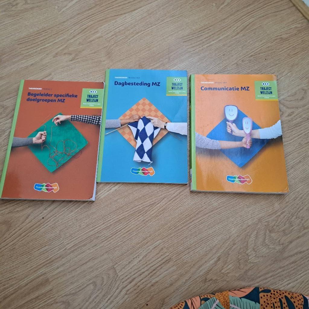 Studieboeken MZ maatschappelijke zorg, Gelezen, ThiemeMeulenhoff, Ophalen of Verzenden, MBO