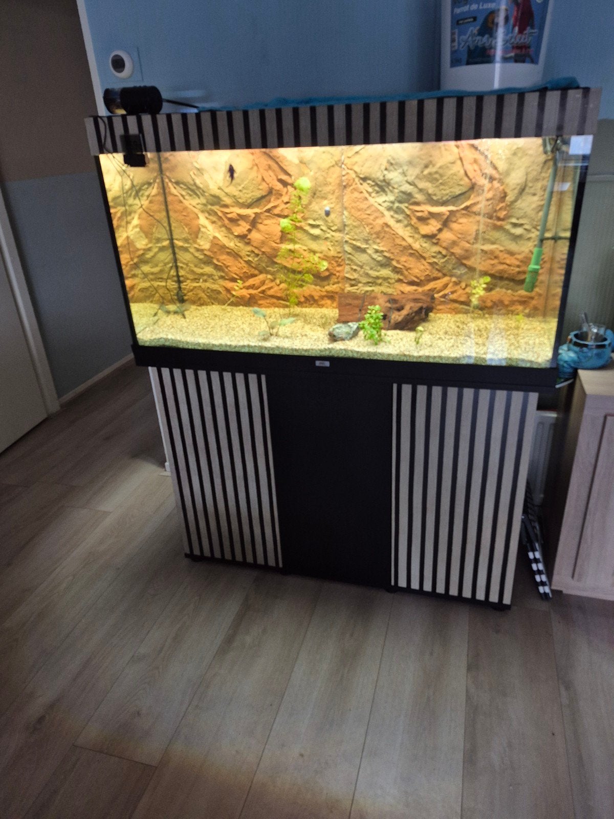 Aquarium juwel rio 350, Dieren en Toebehoren, Vissen | Aquaria en Toebehoren, Ophalen, Verwarming, Juwel, Gevuld zoetwateraquarium