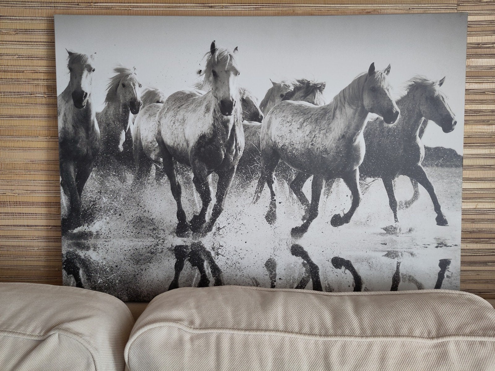 Canvas met paarden zwart wit, Ophalen of Verzenden, Zwart