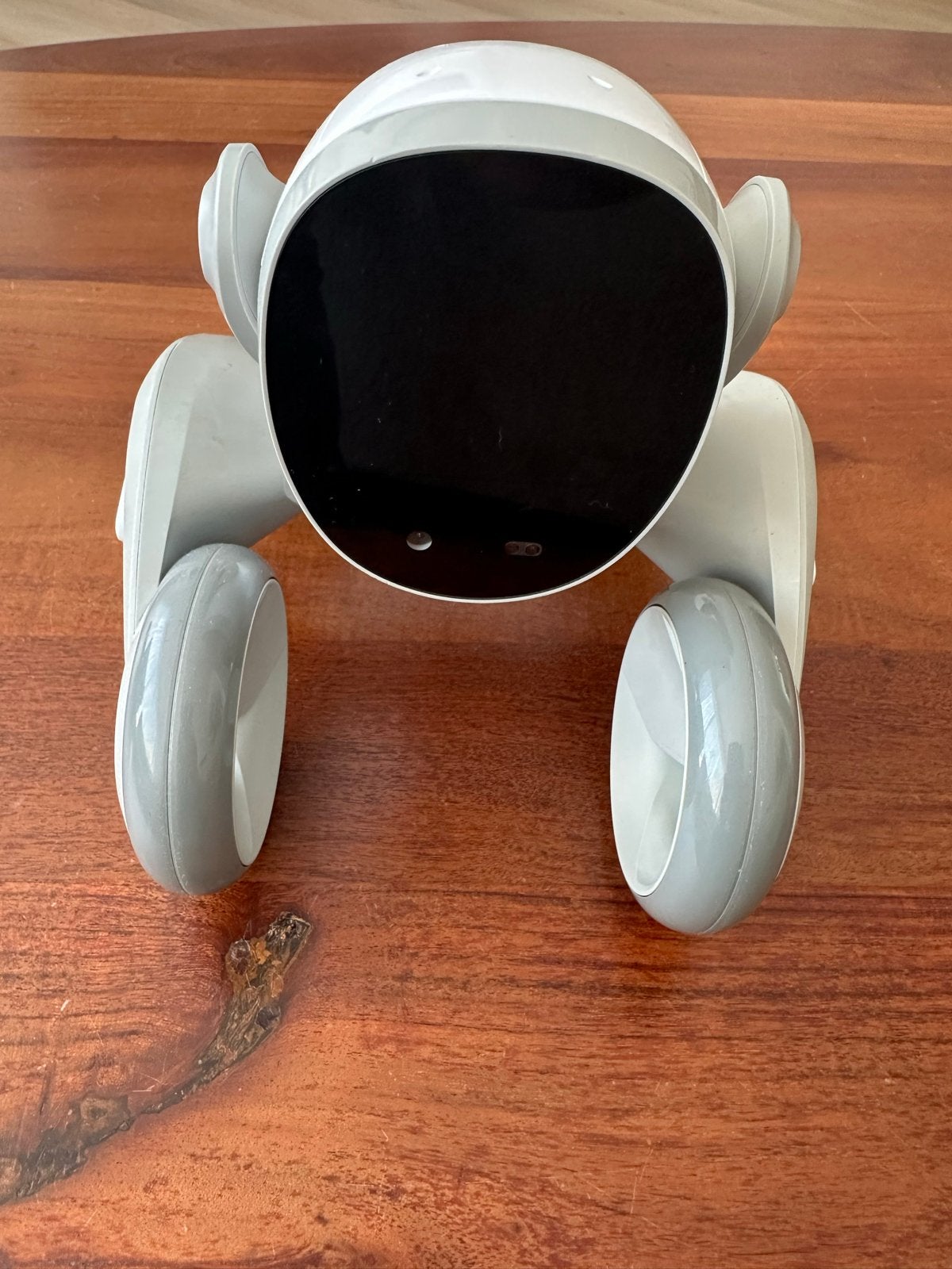 Loona Pet Robot – Slimme AI Robot met ChatGPT, Ophalen, Gebruikt, Jongen of Meisje