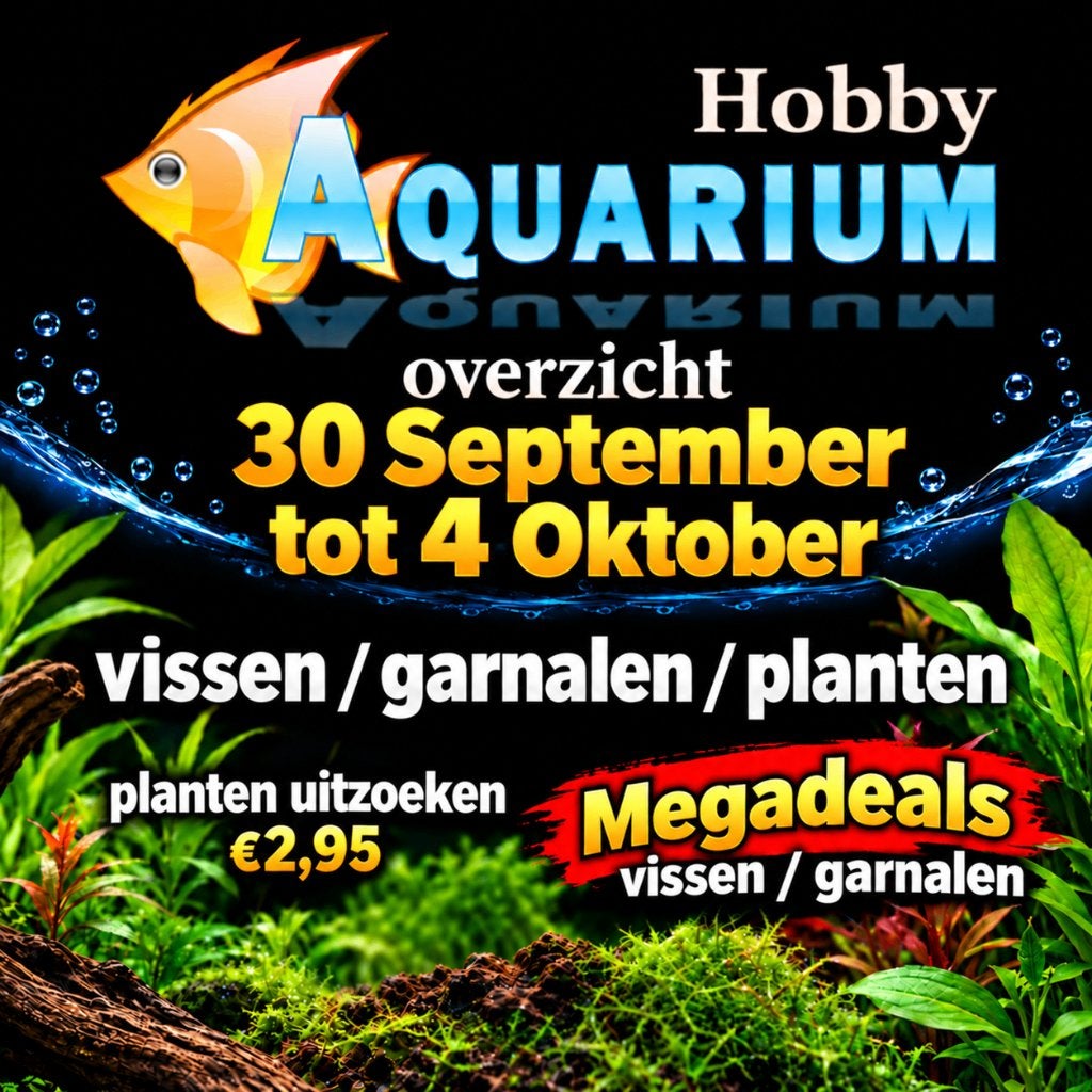 Hobbyaquarium overzicht/prijzen 30sept tot 4okt + aktie, Vis, Zoetwatervis
