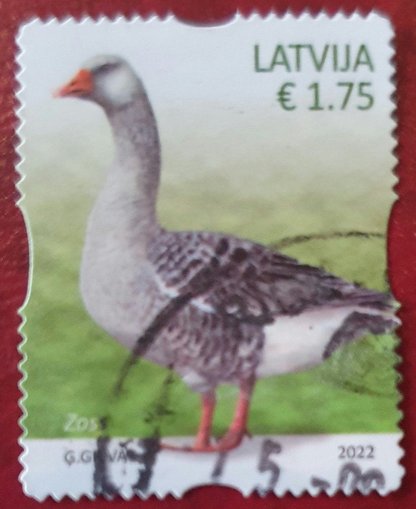 290-26 Latvija 2022 / Grauwe Gans nom. € 1.75, Verzenden, Overige landen, Gestempeld