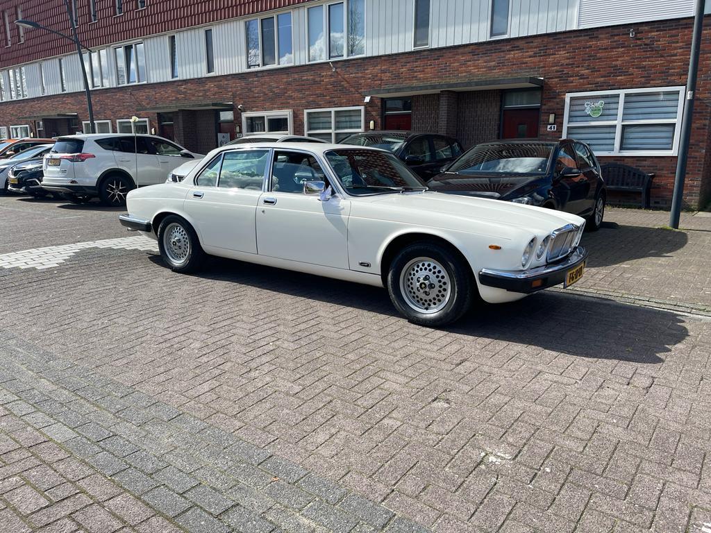 Trouwauto huren met chaffeur, Diensten en Vakmensen, Verhuur | Auto en Motor, Trouwauto, Met chauffeur