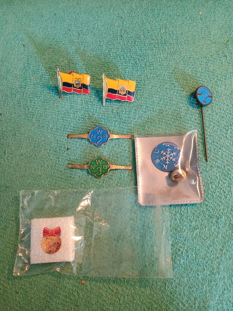Pins, Verzamelen, Speldjes, Pins en Buttons, Ophalen of Verzenden, Gebruikt, Overige onderwerpen, Speldje of Pin