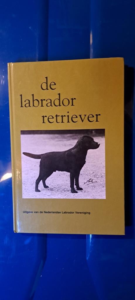 Gold Retriever, Ophalen of Verzenden, Zo goed als nieuw, Paarden of Pony's