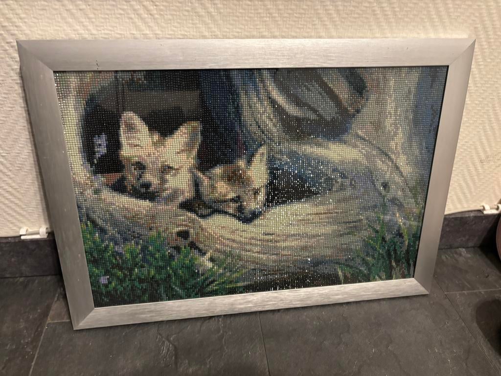 Schilderij Vosjes, Antiek en Kunst, Kunst | Schilderijen | Klassiek, Ophalen of Verzenden