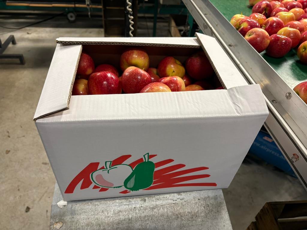Doos met appels 10 kg, diverse rassen beschikbaar!, Ophalen of Verzenden