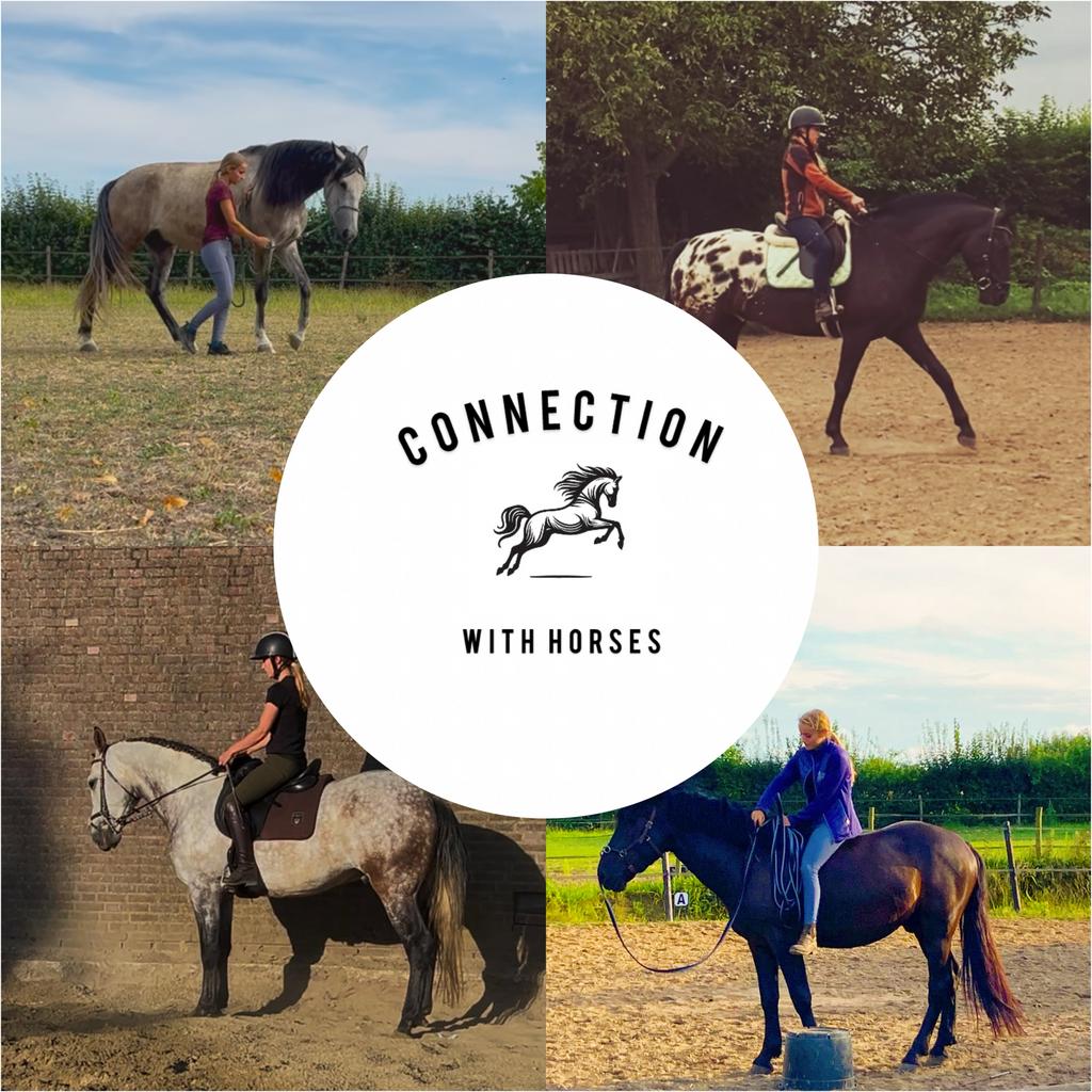 Instructie, paarden trainen, trailerladen, paardrijles, Verzorging of Verzorgpony's