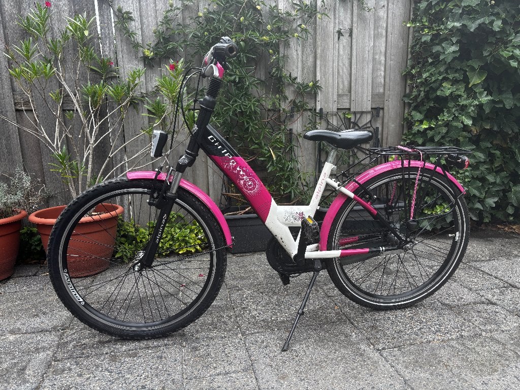 Alpina kinderfiets 24 inch, in goede staat, alles werkend, Ophalen, Terugtraprem, Alpina, Handrem