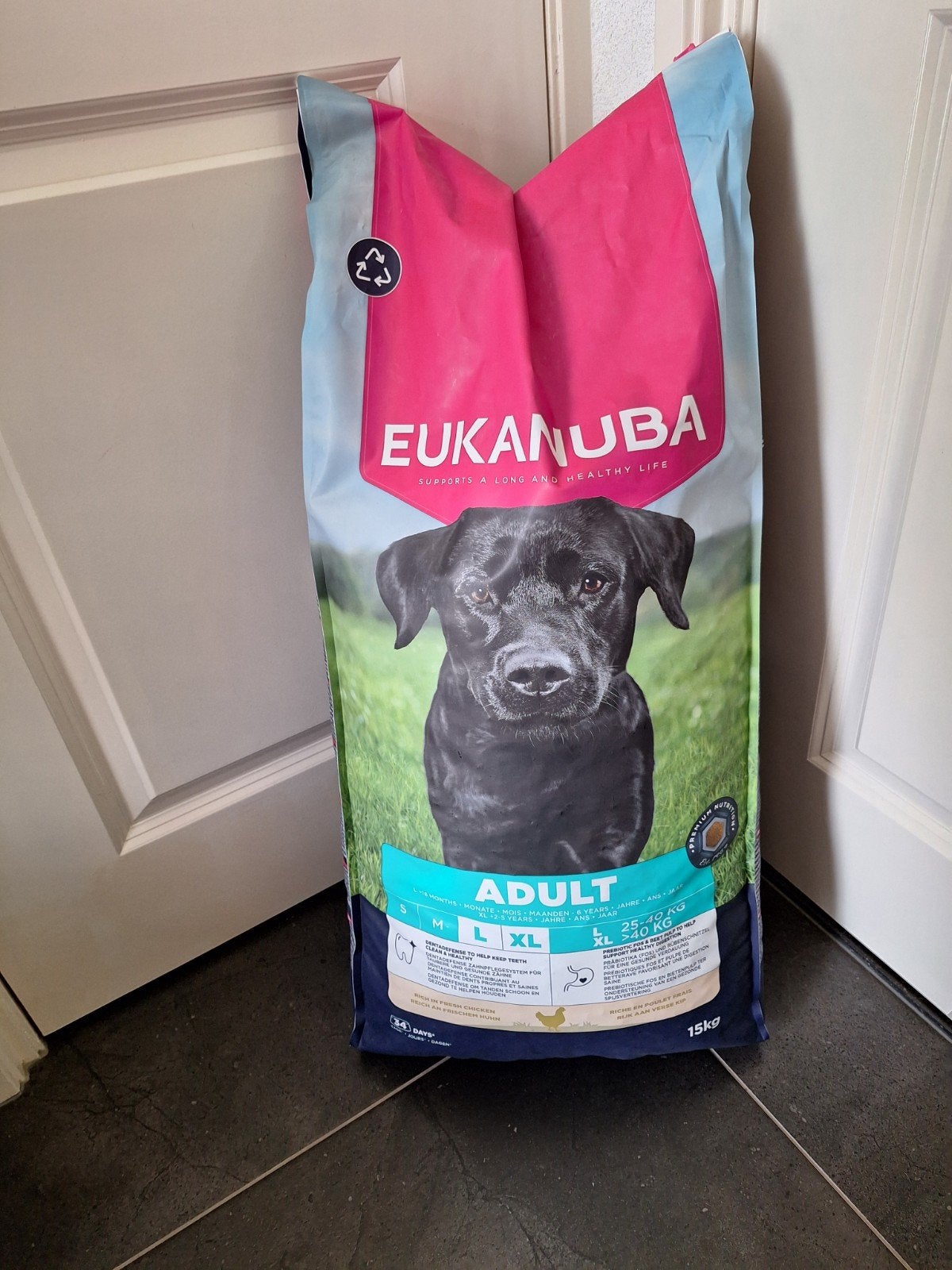 brokken en kauwbotten, Ophalen of Verzenden, Hond