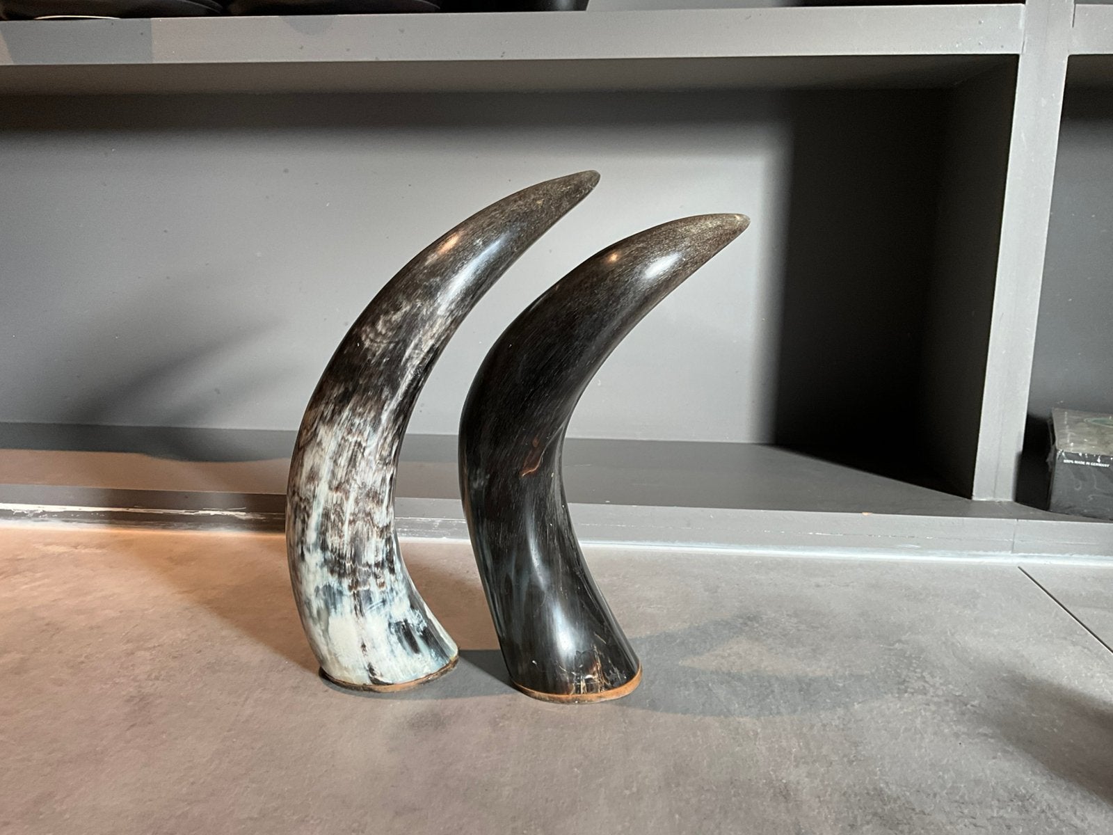 2 mooie Buffel hoornen., Huis en Inrichting, Woonaccessoires | Overige, Overige materialen, Verzenden, Overige stijlen, Gebruikt
