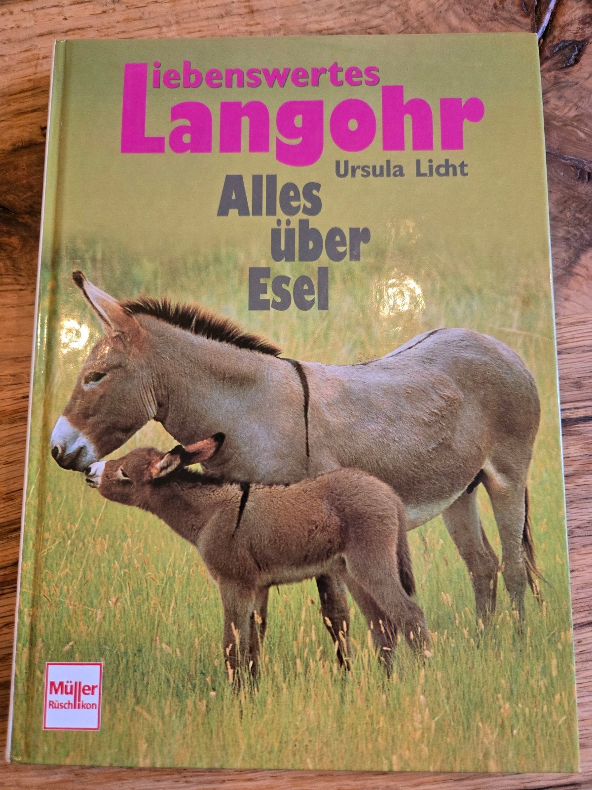 Eenmaal Ezel altijd Ezel... Alles over Ezels, Ophalen of Verzenden, Zo goed als nieuw, Overige diersoorten, Ursula Licht