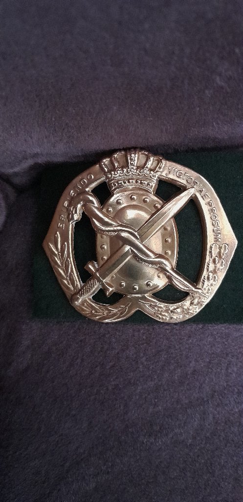 Baretemleem Militair Geneeskundige troepen, Verzamelen, Ophalen of Verzenden, Landmacht, Nederland, Embleem of Badge