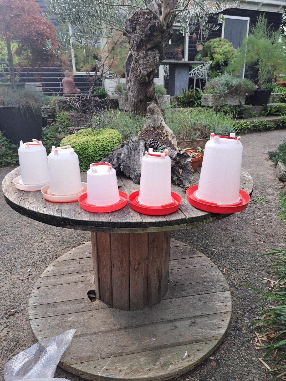 water en voerbakken, Ophalen of Verzenden, Drinken en Voederen