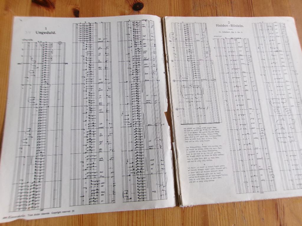 Klavarskribo - Schubert, Muziek en Instrumenten, Bladmuziek, Zang, Gebruikt, Klassiek, Ophalen of Verzenden