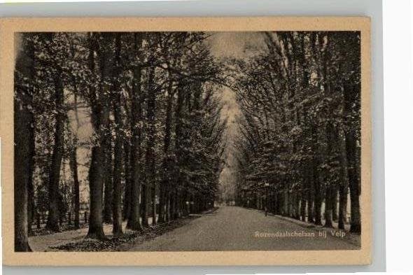 Roosendaalschelaan bij Velp uitg Rembrandt, Verzenden, 1920 tot 1940, Ongelopen, Gelderland