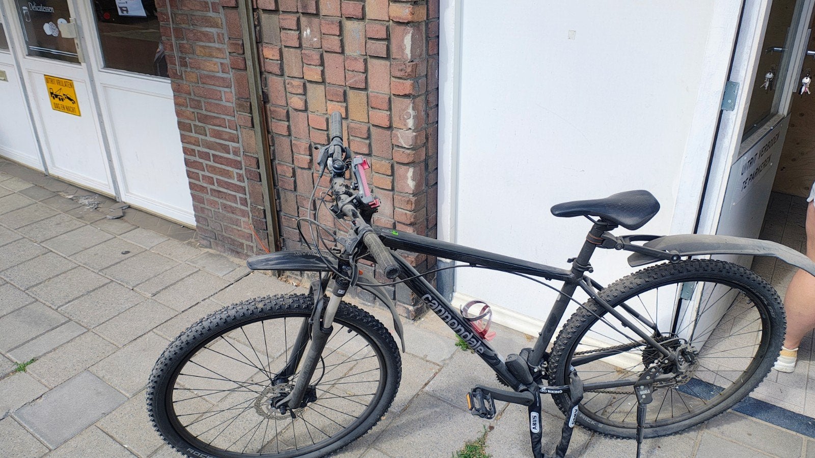 Cannondale Trail Mountainbike Maat L, Fietsen en Brommers, Fietsen | Mountainbikes en ATB, Ophalen, Gebruikt, Schijfrem, Overige merken