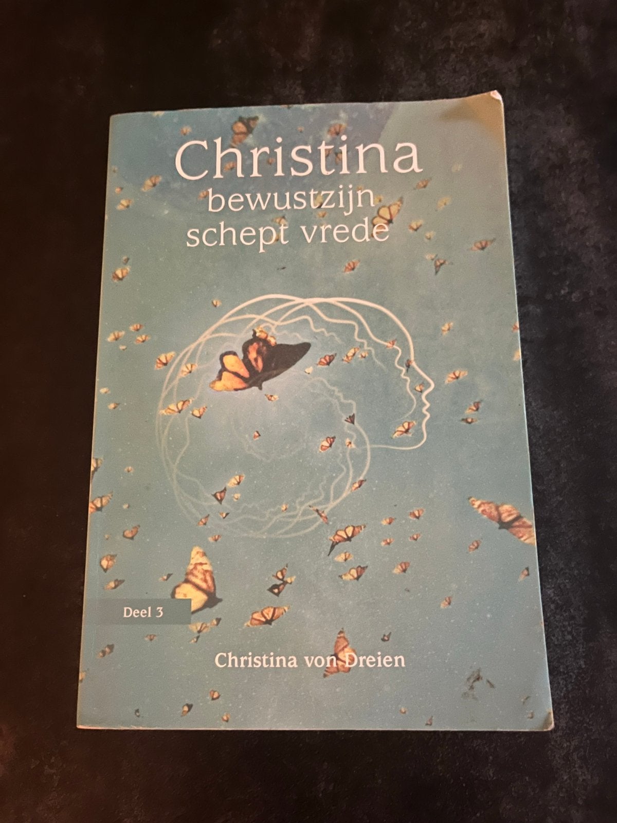 Christina bewustzijn schept vrede - Deel 3, Boeken, Ophalen of Verzenden, Gelezen, Spiritualiteit algemeen, Verhaal of Roman