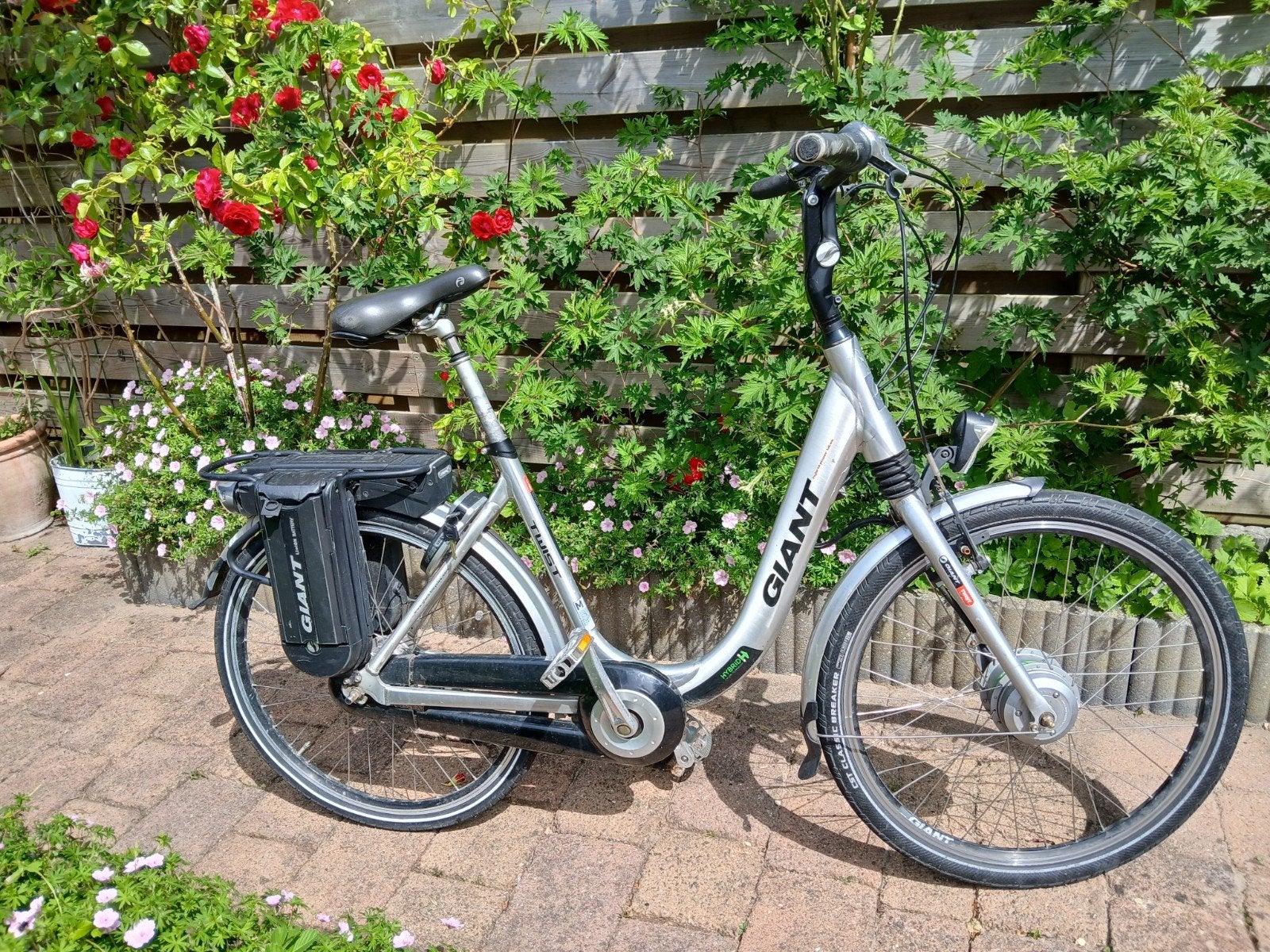 Giant Twist Go Double Power elektrische fiets, Fietsen en Brommers, Ophalen, Gebruikt, Giant, 51 tot 55 cm
