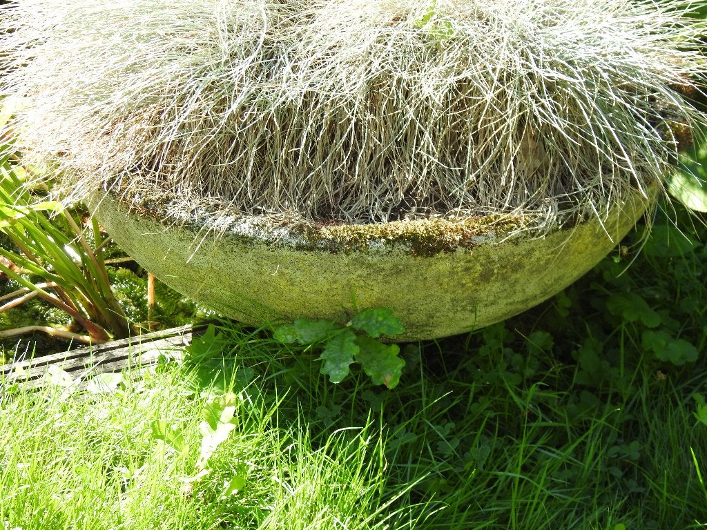 Zware betonnen schaal doorsnede 60 cm , hoogte 25 cm ., Ophalen, Gebruikt, Minder dan 30 cm, Rond