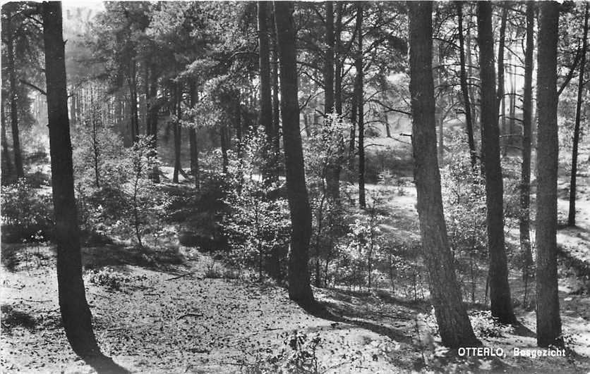 300-023-027 Otterlo Bosgezicht, Verzenden, Voor 1920, Gelderland