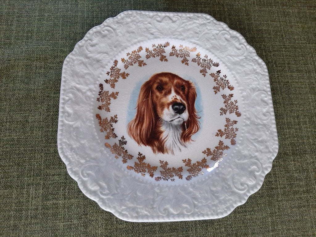 Lord Nelson schaaltje Welsh Springer Spaniel, Ophalen of Verzenden