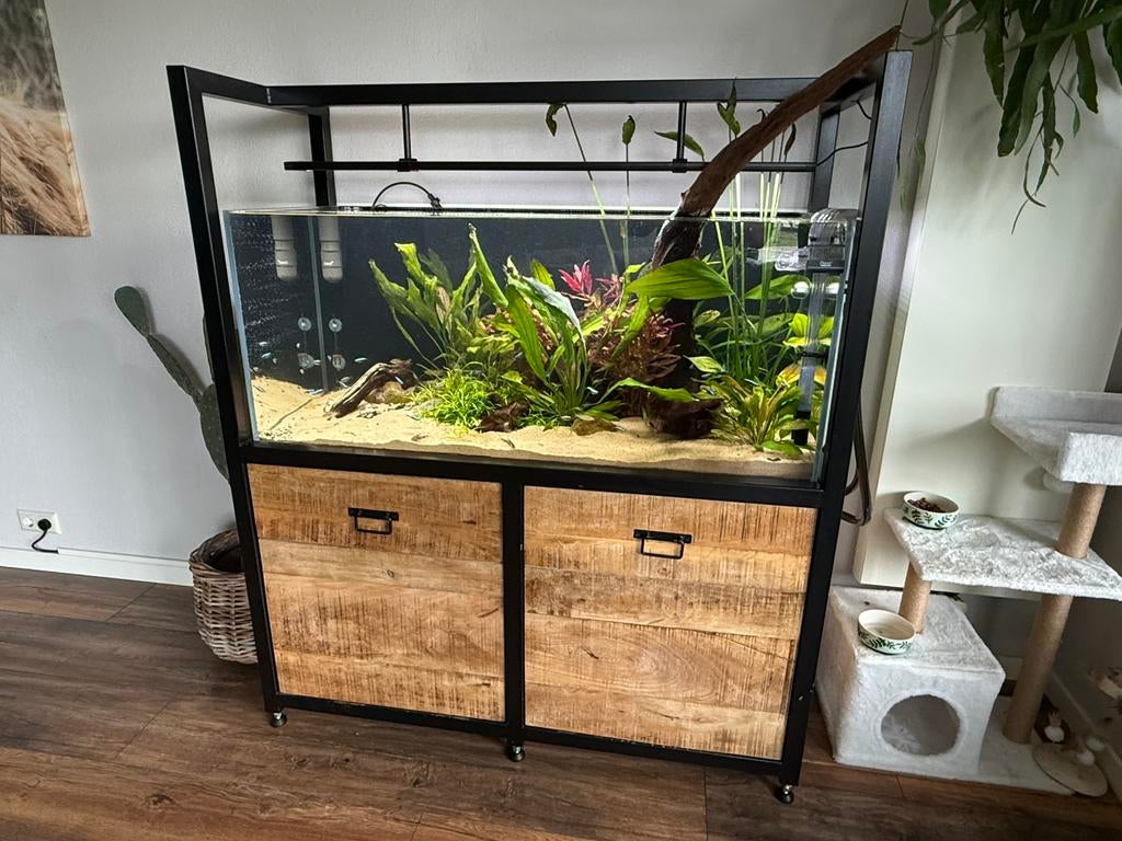 Complete aquarium hobby 120 x 50 x 50 inclusief meubel, Ophalen, Inclusief vissen, Eheim, Gevuld zoetwateraquarium