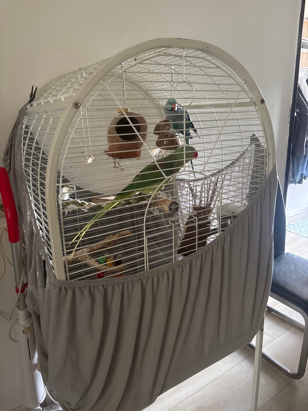 2 vogels met kooi, Dieren en Toebehoren, Meerdere dieren, Parkiet