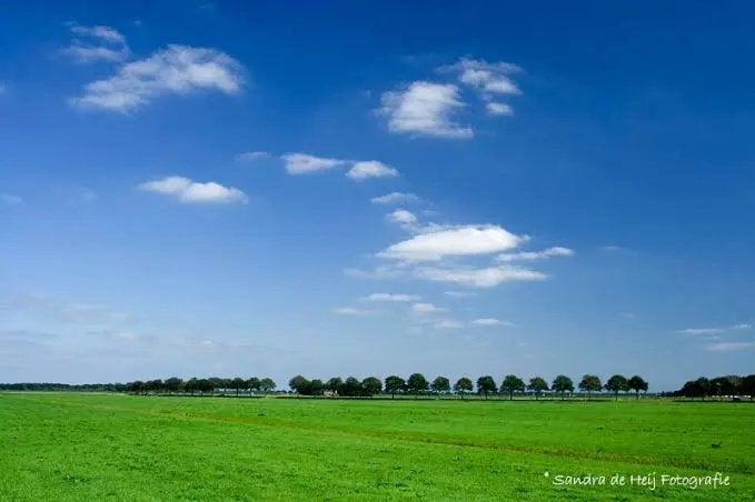 Gezocht weide, Dieren en Toebehoren, Stalling en Weidegang