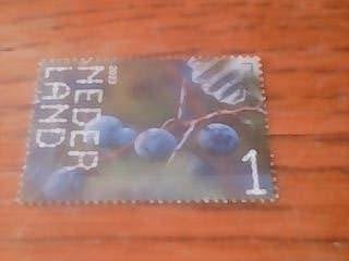 gestempelde zegel nederland no 4116  [sleedoorn ], Verzenden, Gestempeld
