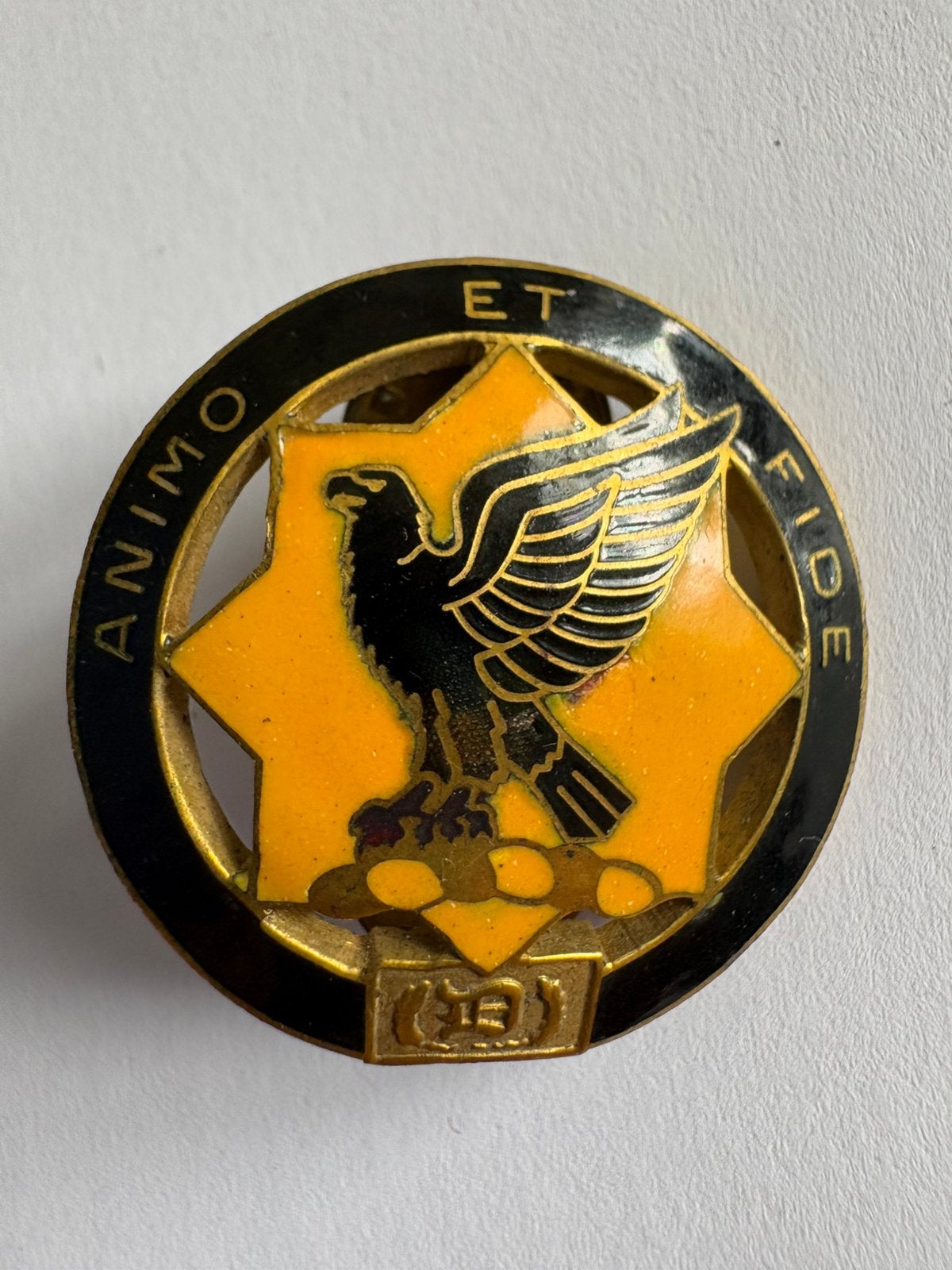 US Army 1st Cavalry Regiment Double Pin, Verzamelen, Ophalen of Verzenden, Landmacht, Amerika, Embleem of Badge